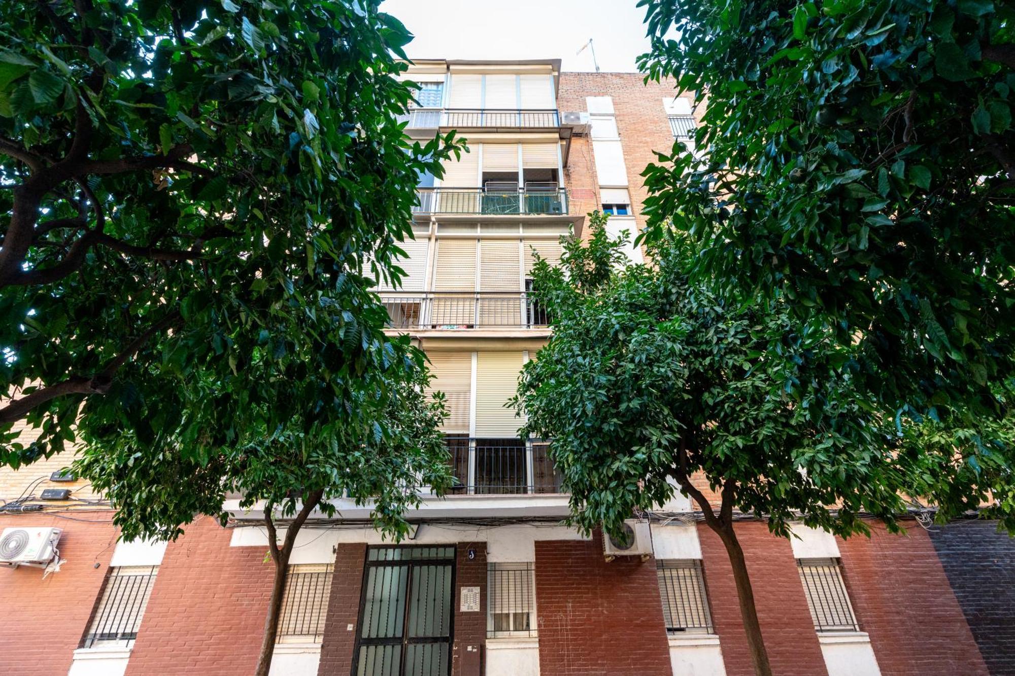 Piso Elegante Y Nuevo De 3 Habitaciones Y 2 Banos Севилья Экстерьер фото